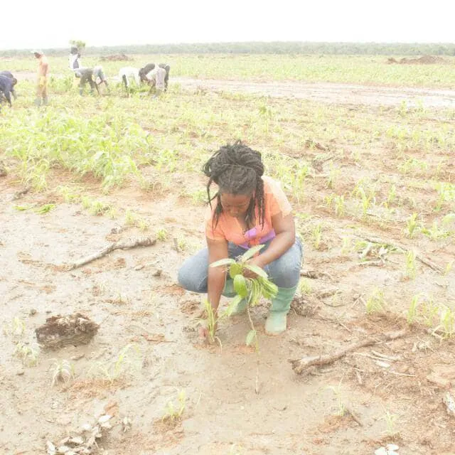 Ourgriculture concept and vision formation